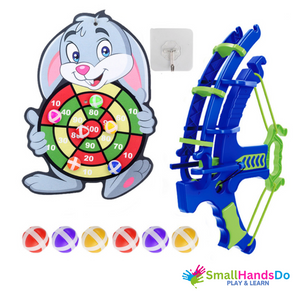 Fun Target Board Ball Game